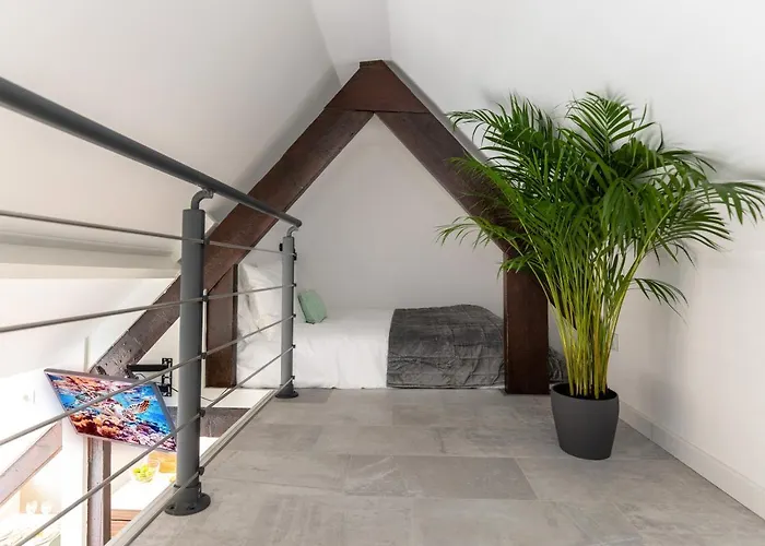 New Scheveningen Family 180d Modern Floor Apartament Haga